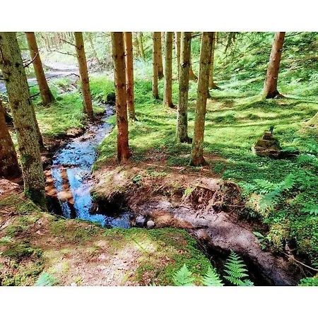 Nyaraló Muelli's Eifel Kall