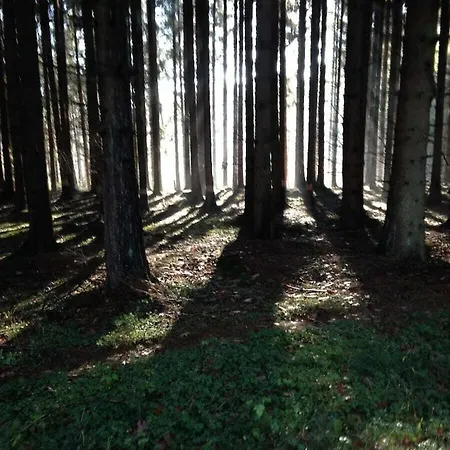 Muelli's Eifel * Kall