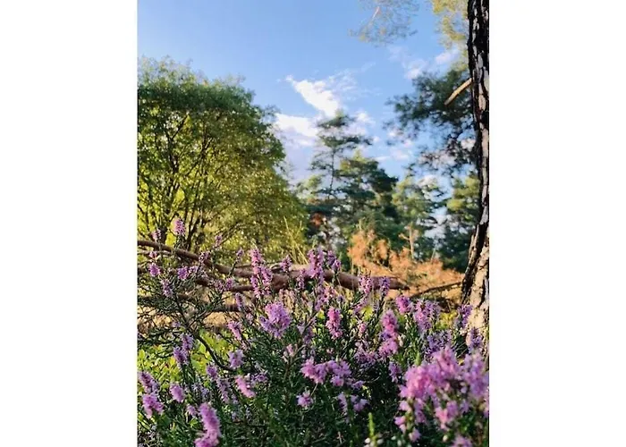 Muelli's Eifel Prázdninový dům