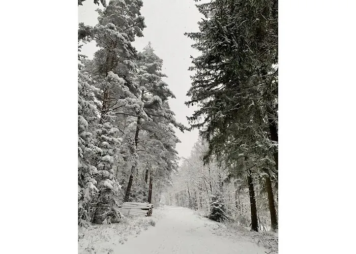 Prázdninový dům Muelli's Eifel *