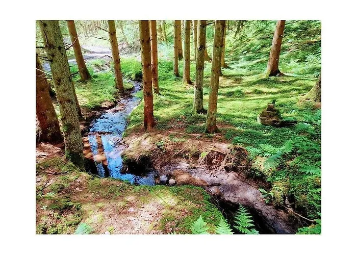 Prázdninový dům Muelli's Eifel Kall