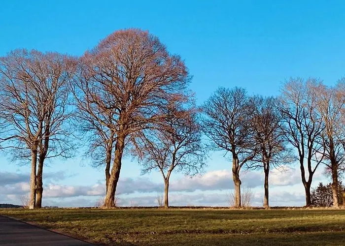 Muelli's Eifel Prázdninový dům Kall