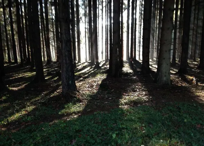 Muelli's Eifel * Kall