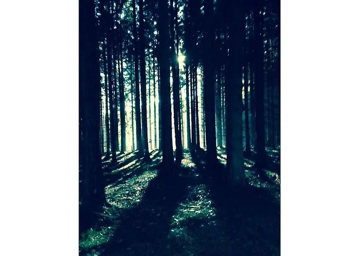 Muelli's Eifel Prázdninový dům